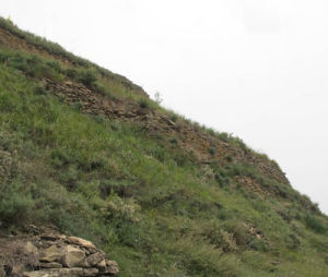 長眼石牆 長眼石牆