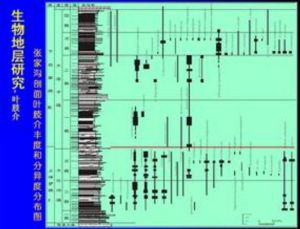 原生剩餘磁性 原生剩餘磁性