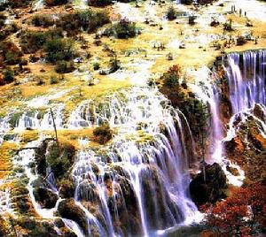 《虞美人·紅木犀》 《虞美人·紅木犀》