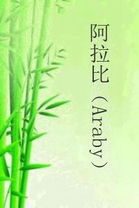 阿拉比(Araby) 阿拉比(Araby)