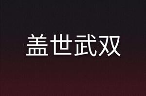 蓋世武雙 蓋世武雙