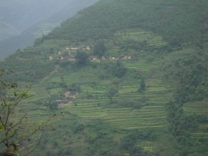 魚壩田村 魚壩田村