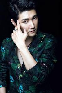 Besame Mucho[王晰我是歌手4踢館歌曲]