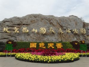 北京西山森林公園 北京西山森林公園