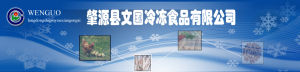 肇源縣文國冷凍食品有限公司 肇源縣文國冷凍食品有限公司