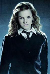 赫敏·格蘭傑 赫敏·格蘭傑