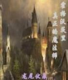 霍格沃茨里真正的魔法師 霍格沃茨里真正的魔法師