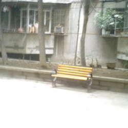 魚新街15號 魚新街15號