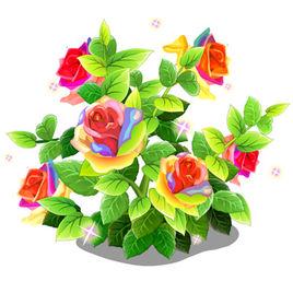 七彩皇后 七彩皇后