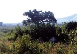 殷家林村 殷家林村