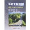 《道路工程建設質量控制與管理指南》
