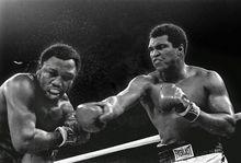 賽場上的弗雷澤