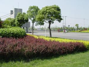 紹興托普信息職業技術學院