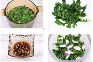 （圖）穿心蓮拌百合