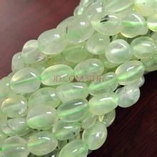 扁圓串珠藻 扁圓串珠藻