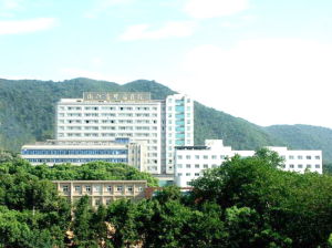 成都史坦德信息技術有限公司