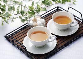 連翹茶 連翹茶