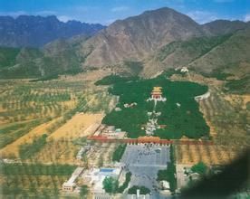 丁末武義風潮 丁末武義風潮