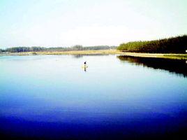 潮海街道 潮海街道