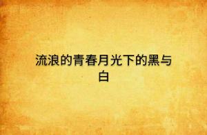 流浪的青春月光下的黑與白