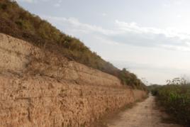 戰國滎陽故城西城牆中段 戰國滎陽故城西城牆中段