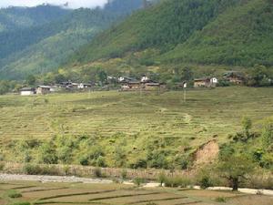 柯功自然村 柯功自然村