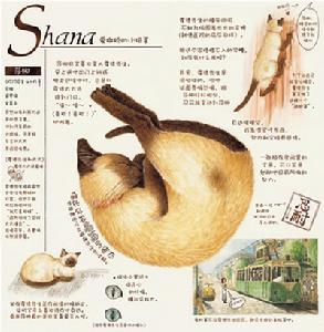 (圖)《貓國物語》