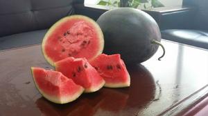 梁村鎮[廣東省懷集縣梁村鎮]