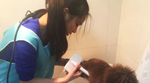 杭州戌時科技有限公司 杭州戌時科技有限公司