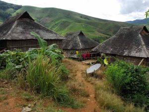 查樂雅康二村 查樂雅康二村
