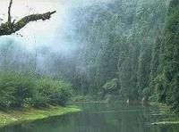 三洲田村落遺址 三洲田村落遺址