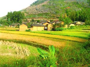 朝陽村[濟南濟陽縣朝陽村]