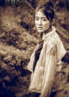 西夏死書[2017年藍海瀚執導電視劇]