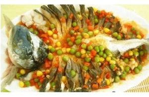 五彩蝴蝶魚 五彩蝴蝶魚