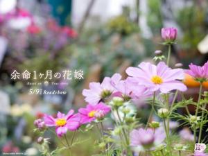 《生命最後一個月的新娘》