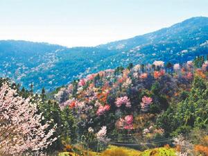 湖北紅安天台山