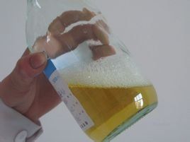 尿蛋白陽性 尿蛋白陽性