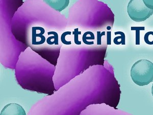 病毒侵人體 病毒侵人體