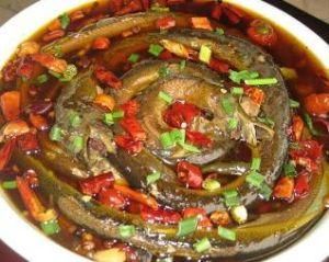 盤龍黃鱔 盤龍黃鱔