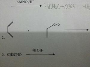內型異構體 內型異構體