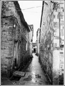 （圖）雨巷深深