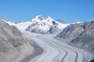 阿萊奇冰川