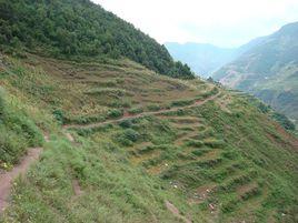 撒者衣村 撒者衣村