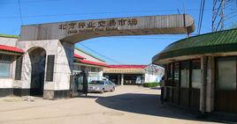 蔬菜種子批發市場 蔬菜種子批發市場