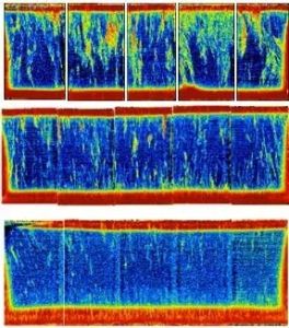 少子壽命 少子壽命