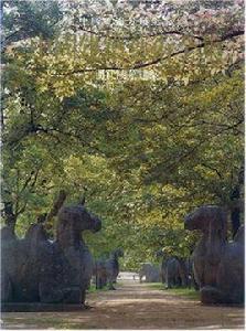 中國建築藝術全集·7，明代陵墓建築