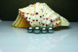 大溪地黑珍珠 大溪地黑珍珠