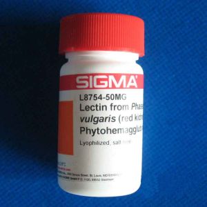 植物血球凝集素 植物血球凝集素