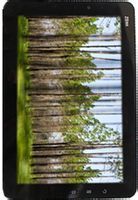 中興 V11 中興 V11