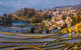 紅河哈尼梯田文化景觀 紅河哈尼梯田文化景觀